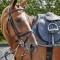 BR077 - Barton Raised Flash Bridle (inc Rubber Reins)